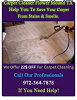 Carpet Cleaner Flower Mound