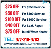 Plumbing Dallas TX Pro