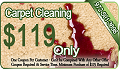 Carpet Cleaning Plano