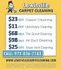 Lewisville Carpet Cleaning