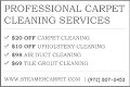Steam Carpet Cleaning Irving